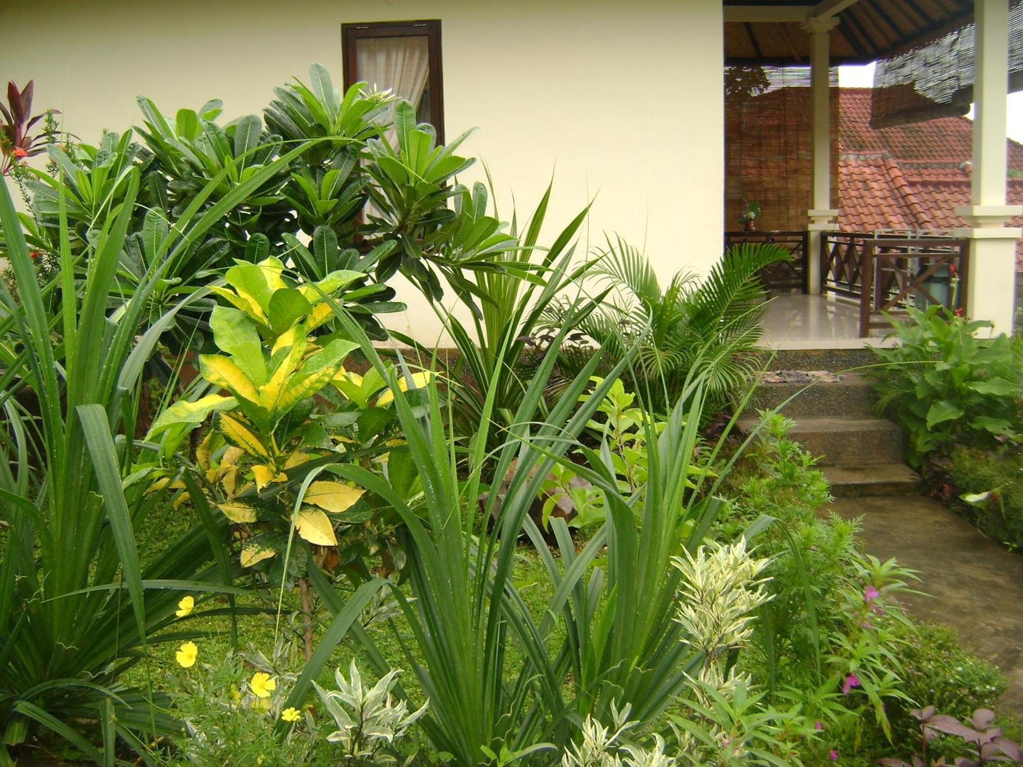 Sinar Bali 2 Hotel Amed  Ngoại thất bức ảnh